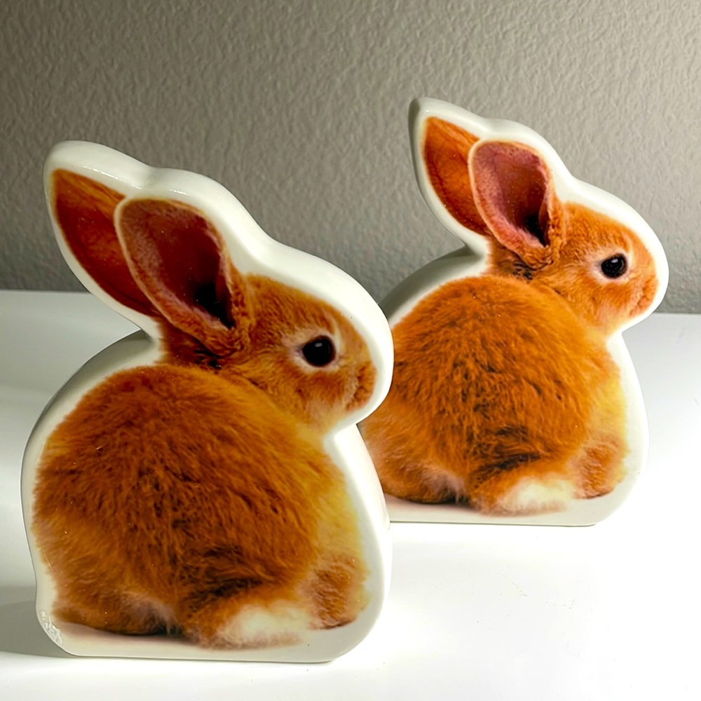 Ceramic brown bunnies, set of 2